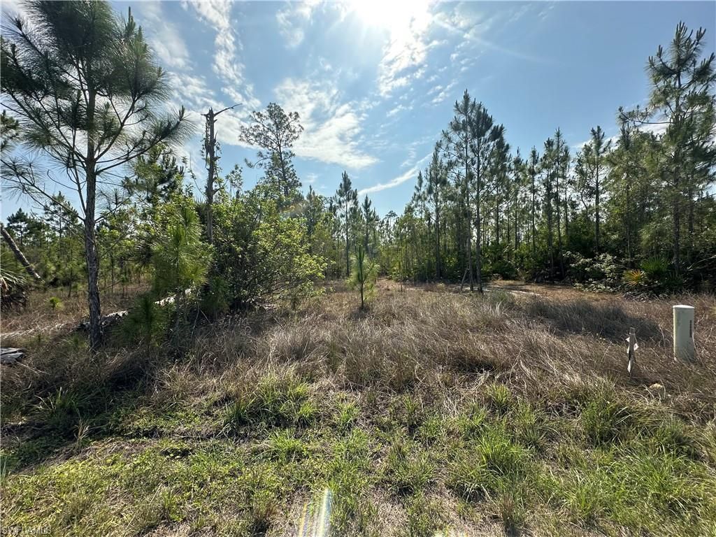 1014 Jackson AVE, LEHIGH ACRES, FL 33972 — photo 2