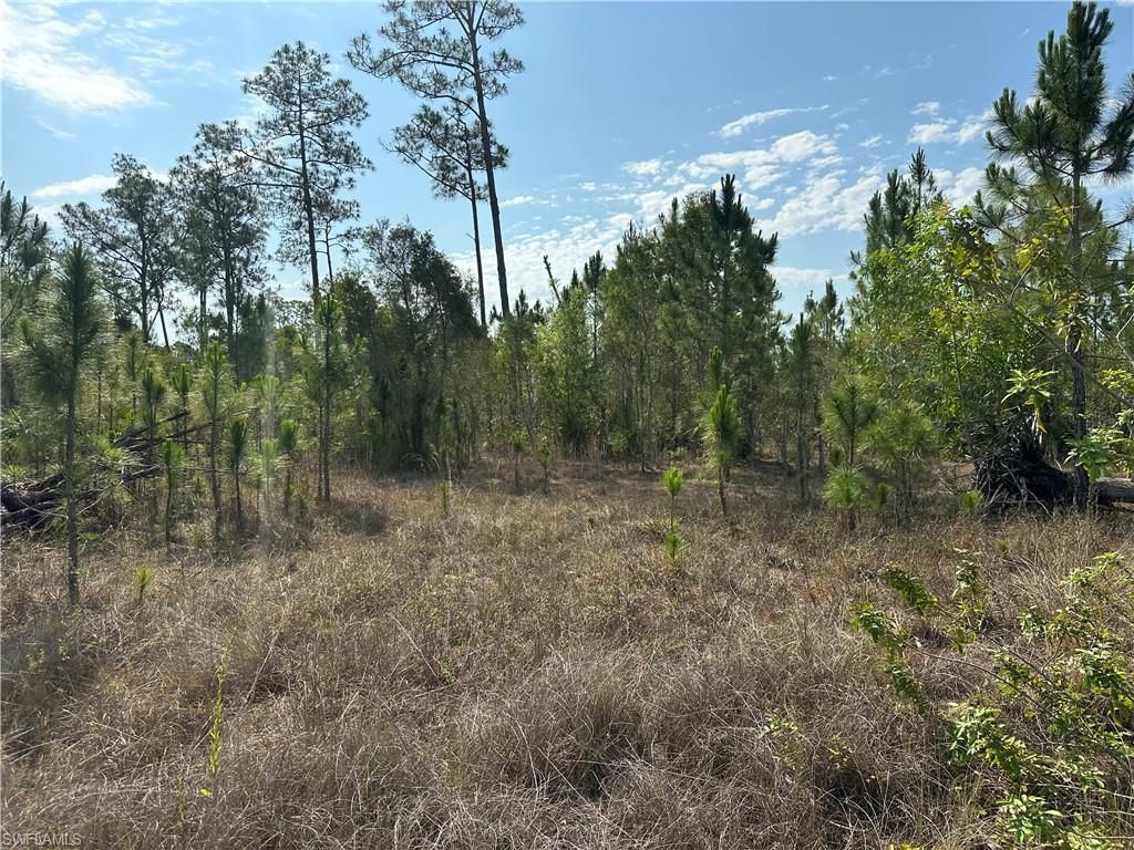 1014 Jackson AVE, LEHIGH ACRES, FL 33972 — photo 3