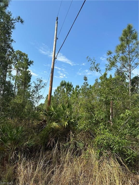 1014 Jackson AVE, LEHIGH ACRES, FL 33972 — photo 4