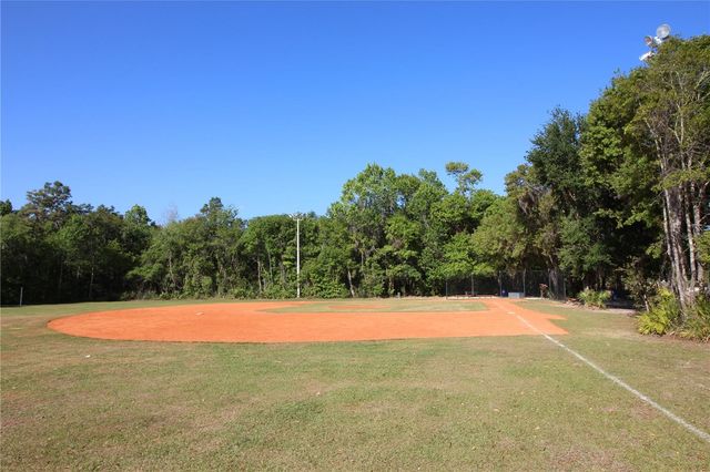 14743 HERONGLEN DRIVE, Lithia, FL 33547