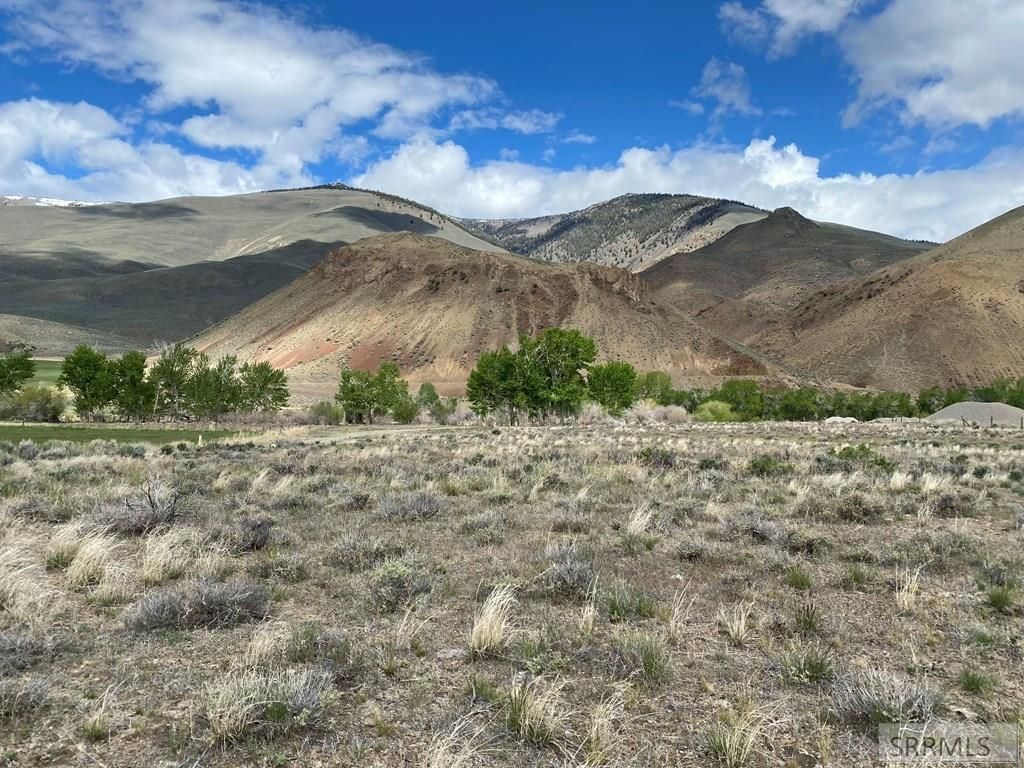 Image 4 of property listing at Lot 1 River's Edge Rd, Challis, ID 83226
