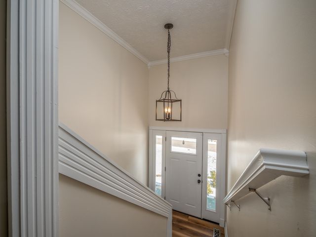 1115 Rodburn Hollow Road, Morehead, KY 40351