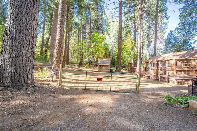 764 Alta Powerhouse Rd, Alta, CA 95701