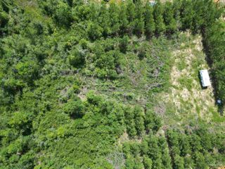 Lot 21 Mineral Springs Rd, Jay, FL 32565