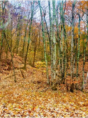 1431 Roarks Cove Rd, Sewanee, TN 37375