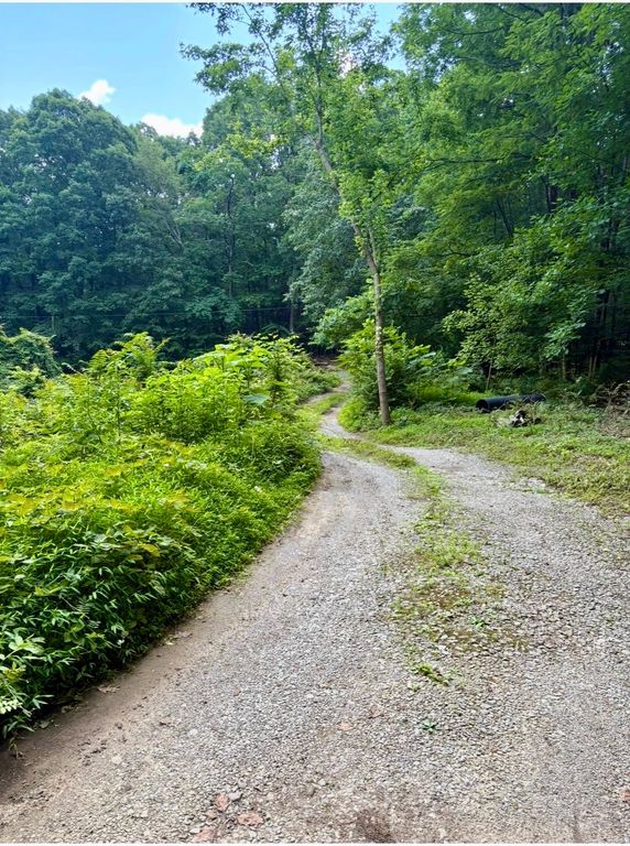 1431 Roarks Cove Rd, Sewanee, TN 37375