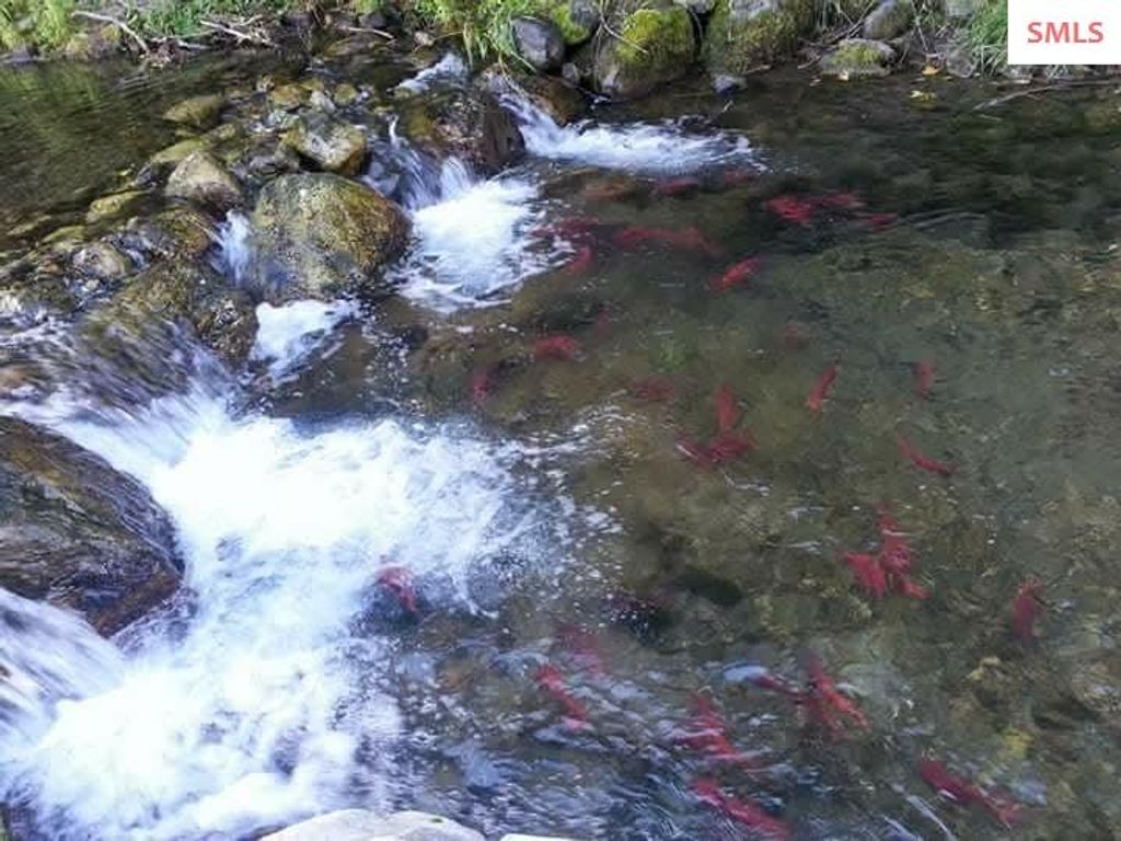 145 Cedar Dr, Bayview, ID 83803 photo 60