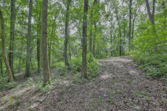 915 Bluff Rd, Brentwood, TN 37027