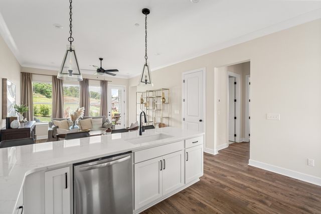 307 Buckwood Lane, N, Thompsons Station, TN 37179