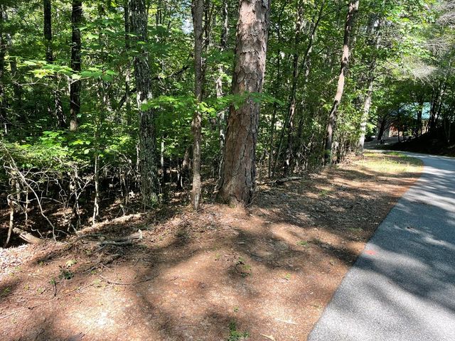 0 Rizzitello Lane, Blairsville, GA 30512