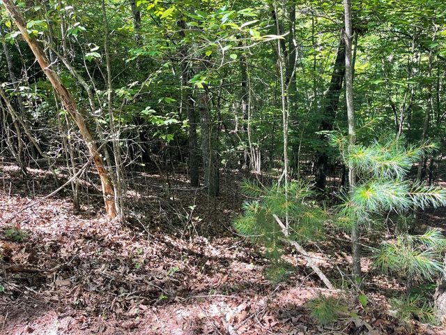 0 Rizzitello Lane, Blairsville, GA 30512