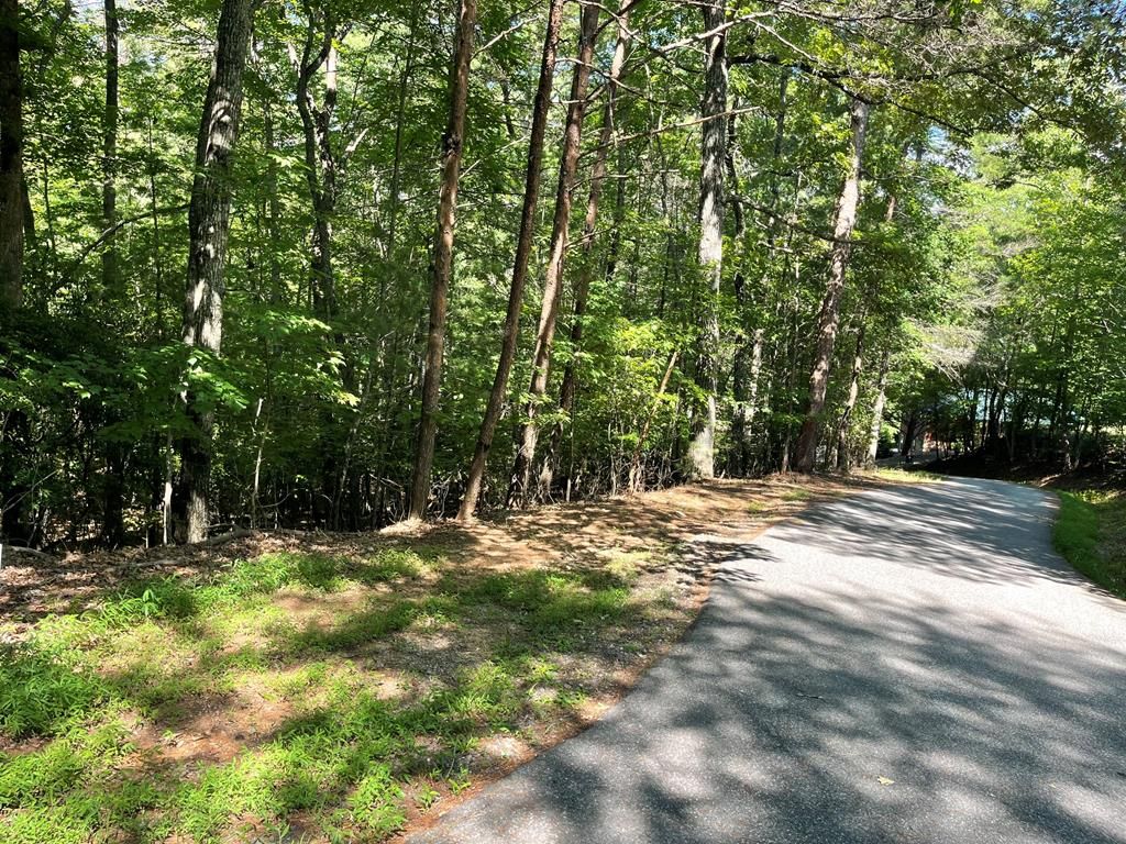 0 Rizzitello Lane, Blairsville, GA 30512