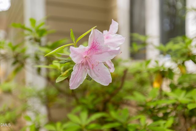 4314 Pin Oak Drive, Durham, NC 27707