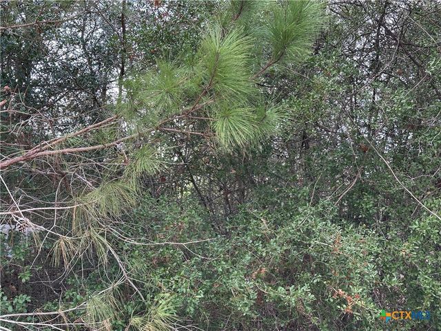 TBD Pine Hill Loop, Bastrop, TX 78602