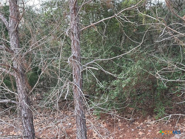 TBD Pine Hill Loop, Bastrop, TX 78602