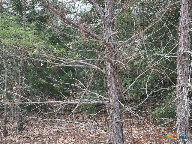 TBD Pine Hill Loop, Bastrop, TX 78602