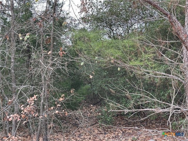 TBD Pine Hill Loop, Bastrop, TX 78602