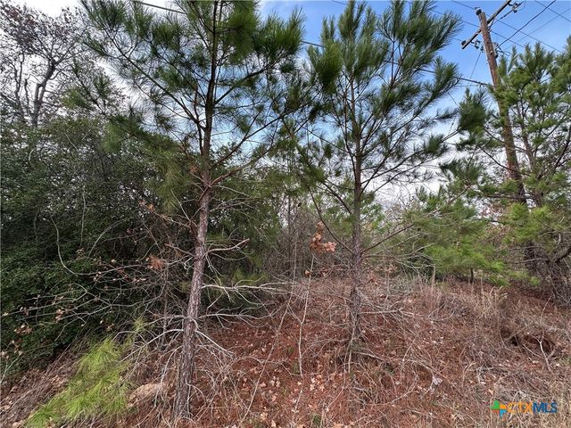 TBD Pine Hill Loop, Bastrop, TX 78602