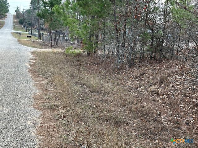 TBD Pine Hill Loop, Bastrop, TX 78602