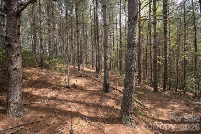 103 Big Tree Way, Nebo, NC 28761