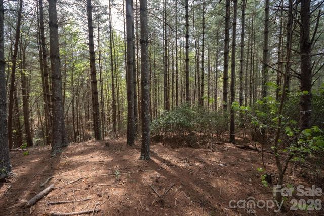 103 Big Tree Way, Nebo, NC 28761