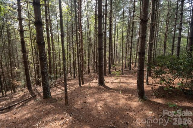 103 Big Tree Way, Nebo, NC 28761