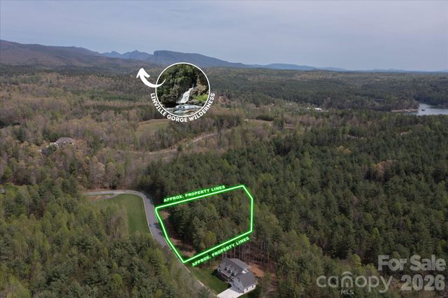 103 Big Tree Way, Nebo, NC 28761
