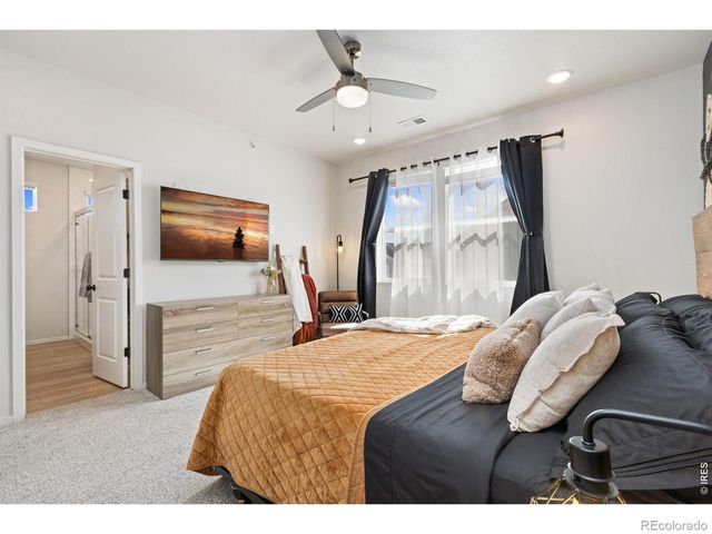 1805 Bounty Drive Unit 3, Windsor, CO 80550