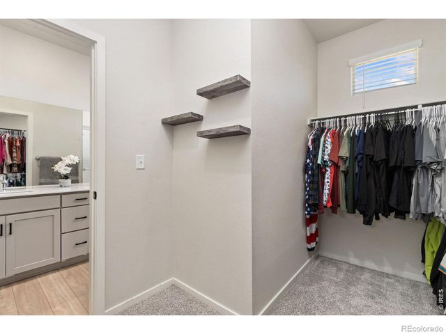 1805 Bounty Drive Unit 3, Windsor, CO 80550