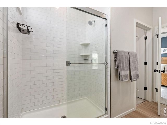 1805 Bounty Drive Unit 3, Windsor, CO 80550