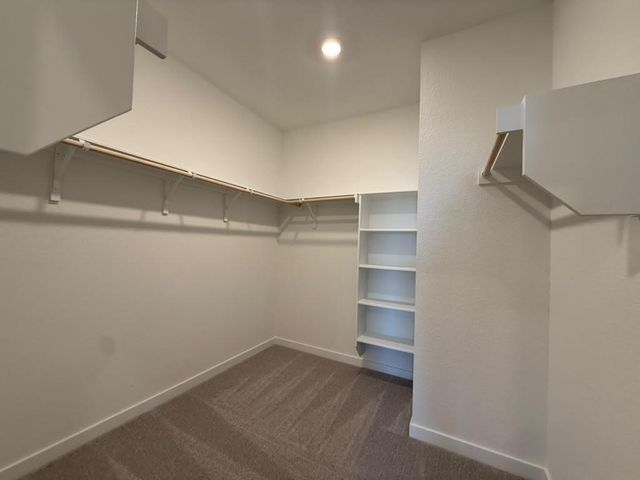 441 Sormonne LOOP, Kyle, TX 78640