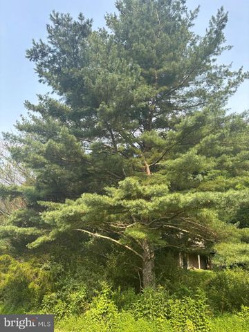 937 WILDLIFE DR, Lost City, WV 26810