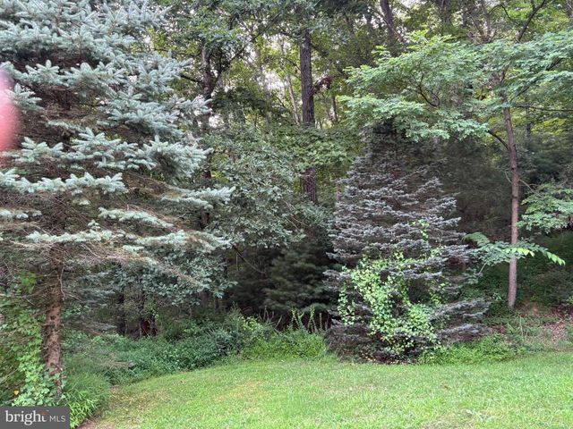 937 WILDLIFE DR, Lost City, WV 26810