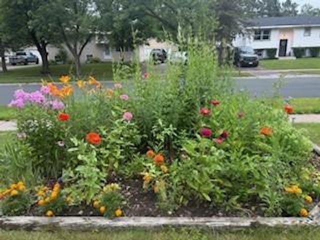 950 Blackoaks Lane, Anoka, MN 55303