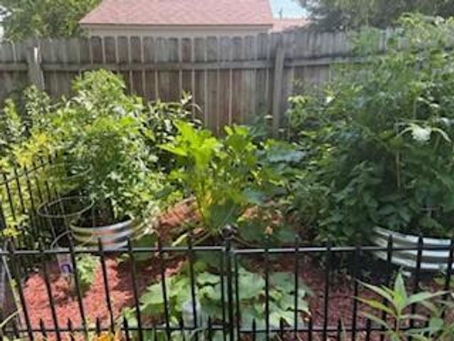 950 Blackoaks Lane, Anoka, MN 55303