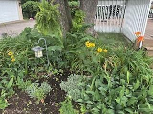 950 Blackoaks Lane, Anoka, MN 55303