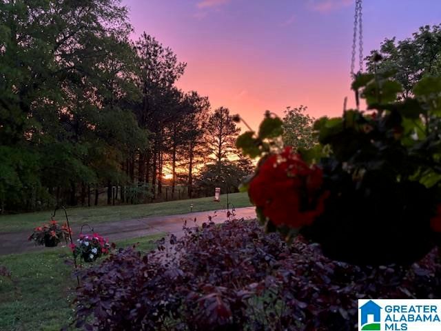 582 COUNTY ROAD 71, Woodland, AL 36280