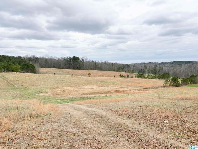 582 COUNTY ROAD 71, Woodland, AL 36280