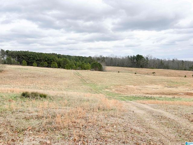 582 COUNTY ROAD 71, Woodland, AL 36280