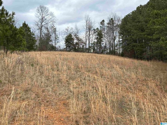 582 COUNTY ROAD 71, Woodland, AL 36280