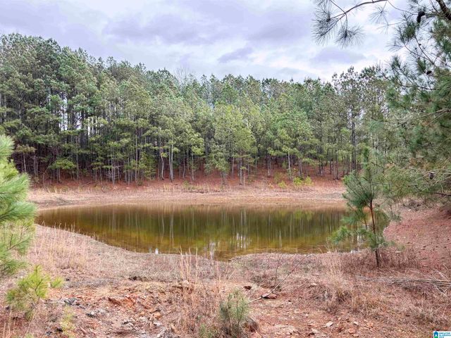 582 COUNTY ROAD 71, Woodland, AL 36280