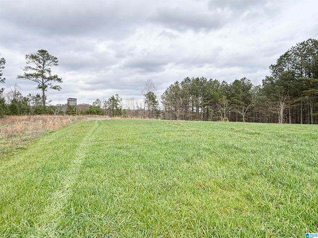 582 COUNTY ROAD 71, Woodland, AL 36280