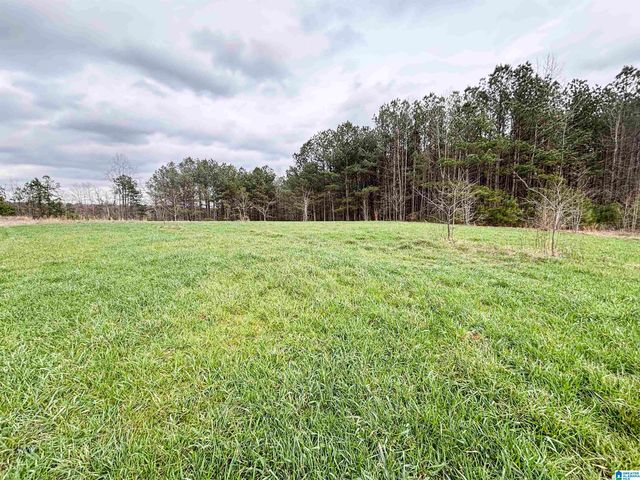 582 COUNTY ROAD 71, Woodland, AL 36280