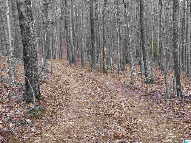 582 COUNTY ROAD 71, Woodland, AL 36280