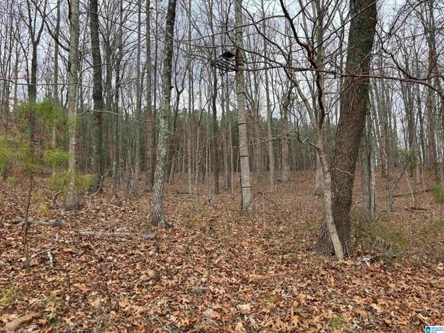 582 COUNTY ROAD 71, Woodland, AL 36280