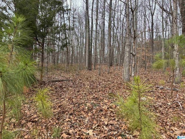 582 COUNTY ROAD 71, Woodland, AL 36280