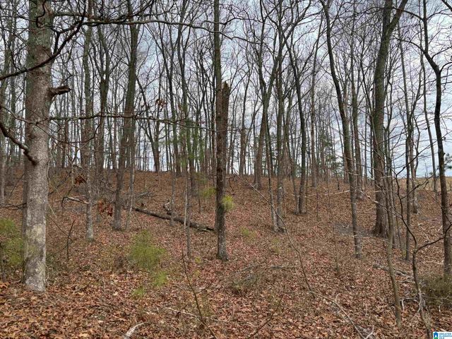 582 COUNTY ROAD 71, Woodland, AL 36280