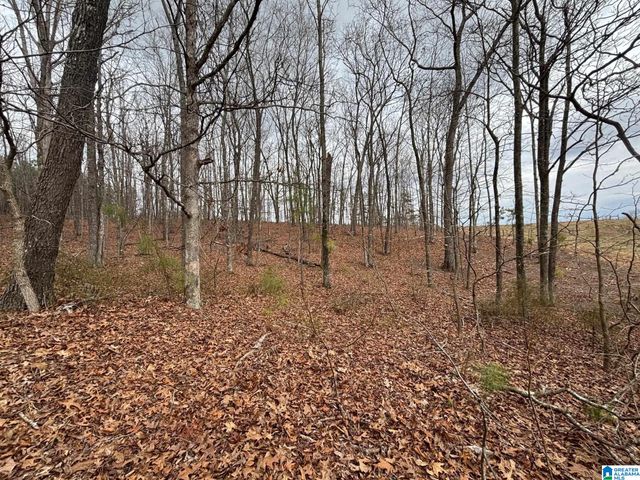 582 COUNTY ROAD 71, Woodland, AL 36280