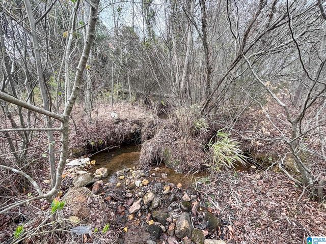 582 COUNTY ROAD 71, Woodland, AL 36280