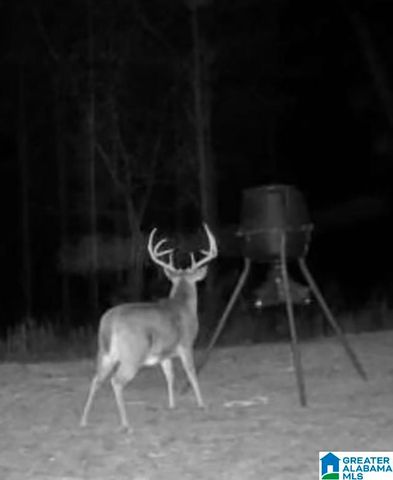 582 COUNTY ROAD 71, Woodland, AL 36280